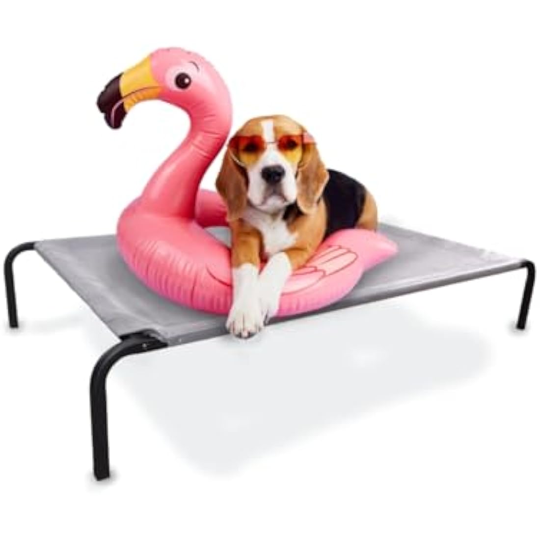 Mobiclinic®, Elevated Dog Bed, Cooling Breathable Elevated Pet Bed, 122x71x21cm, Pet Cot Elevated, Indoor and Outdoor, Easy to Clean, Dog Bed, Insulating, Tool-Free Assembly, Cleo, Max. 60 kg, Grey