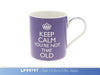 Keep Calm - You're Not That Old Mug