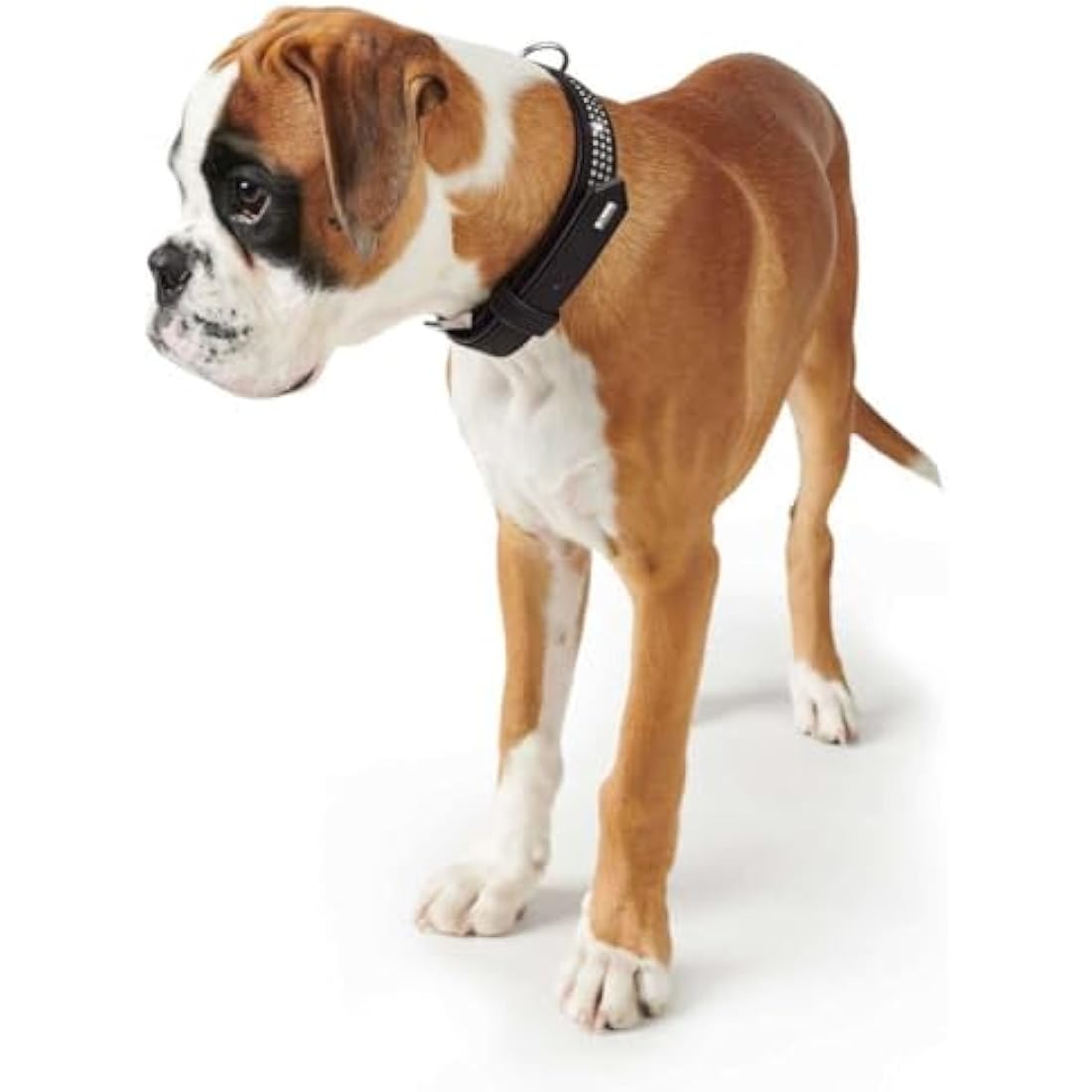 Hunter Softie Deluxe Collar, 55, Black