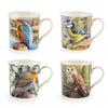 Bird Mug 4 Different Pictures (One mug will be sent, design selected at random)