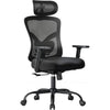 NOBLEWELL Ergonomic Office Chair, Home Office Desk Chairs with Adjustable Lumbar Support, Headrest, 2D Armrest, Computer Chair Backrest 135° Freely Rocking Relaxation, for Home Gaming, Black