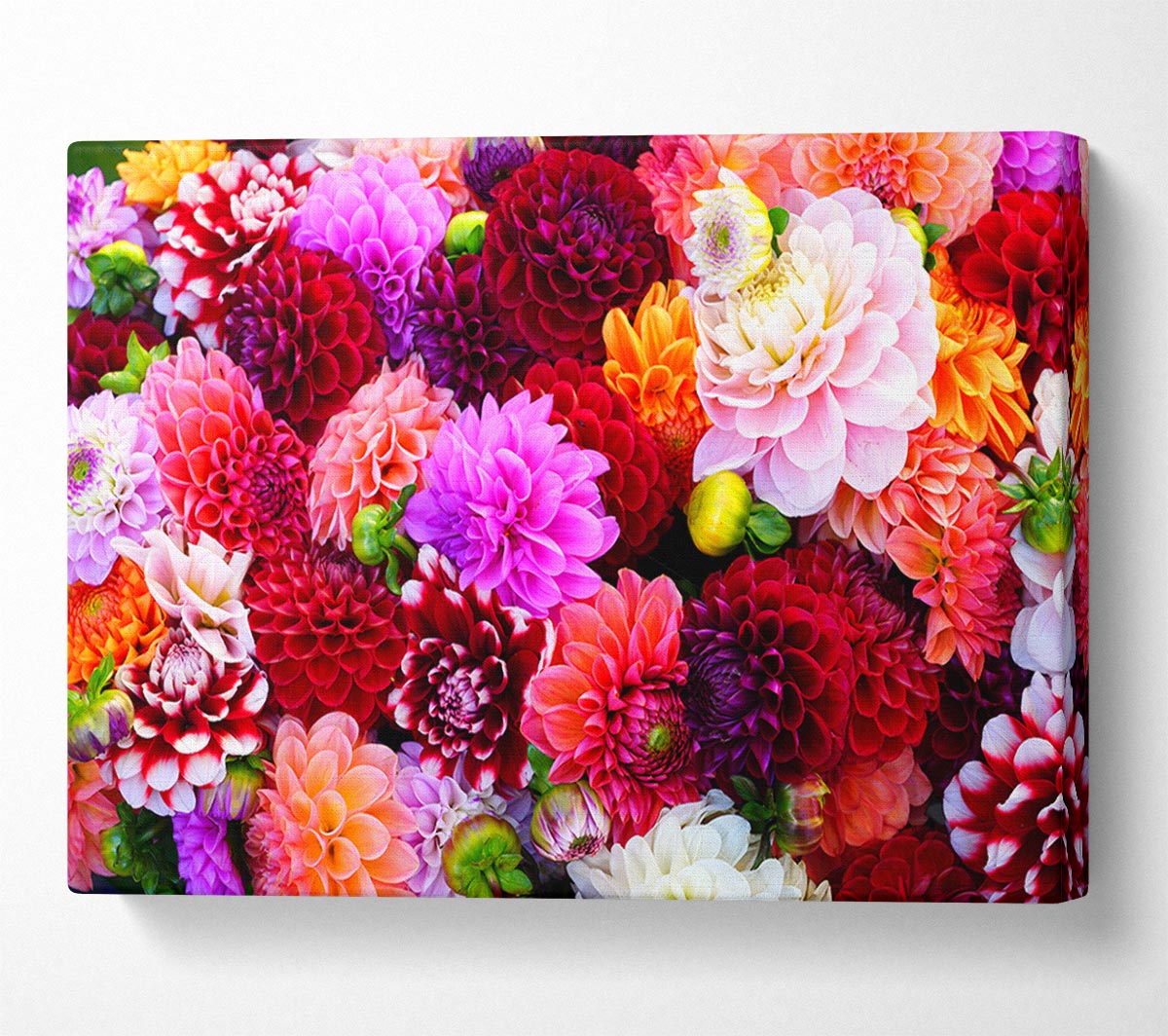 Huge Flower Explosion Canvas Wall Art