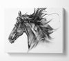 Horse Galloping Head Canvas Wall Art