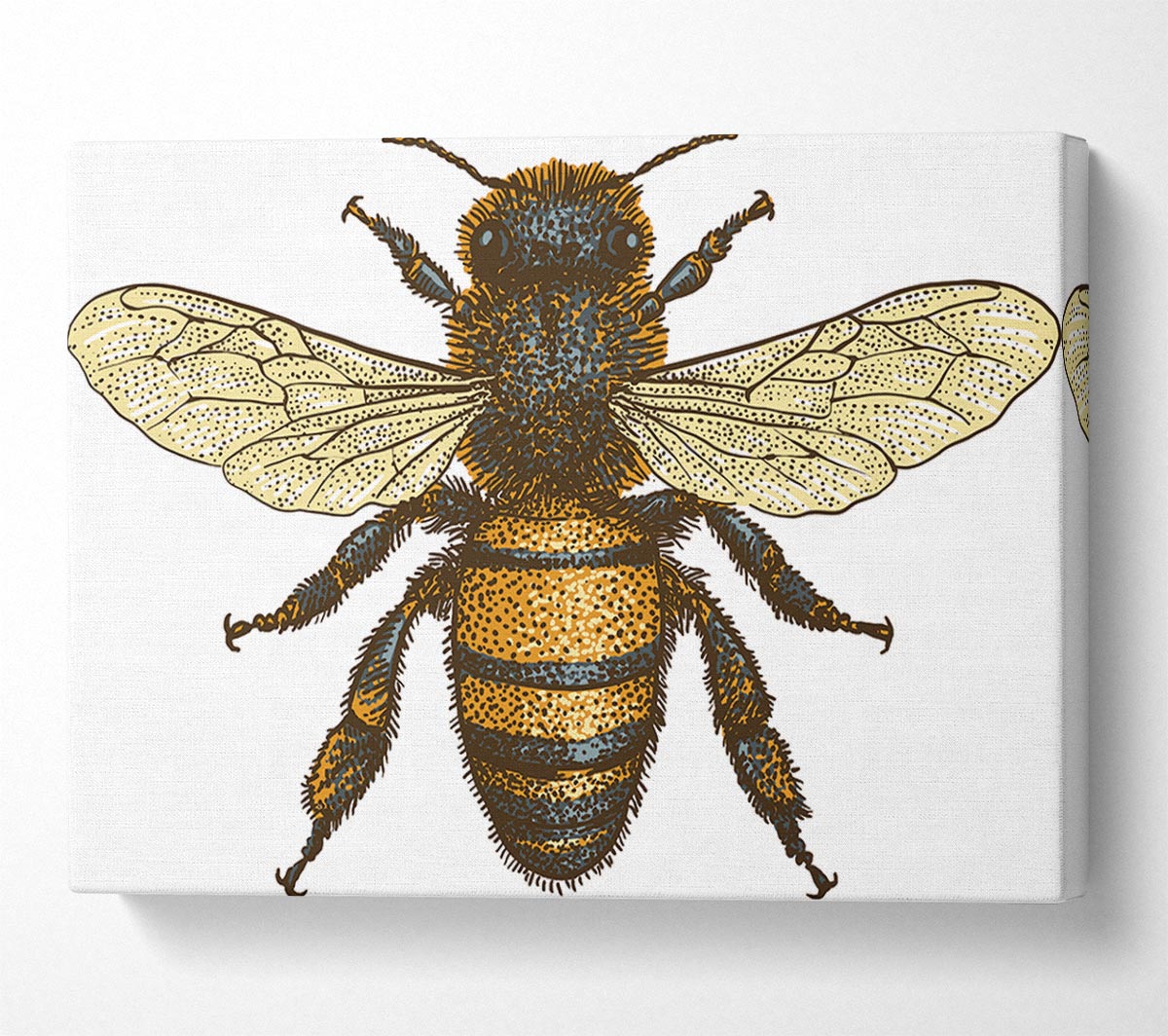 A Bee Illustrated Canvas Wall Art
