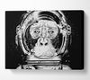 Space Monkey Canvas Wall Art