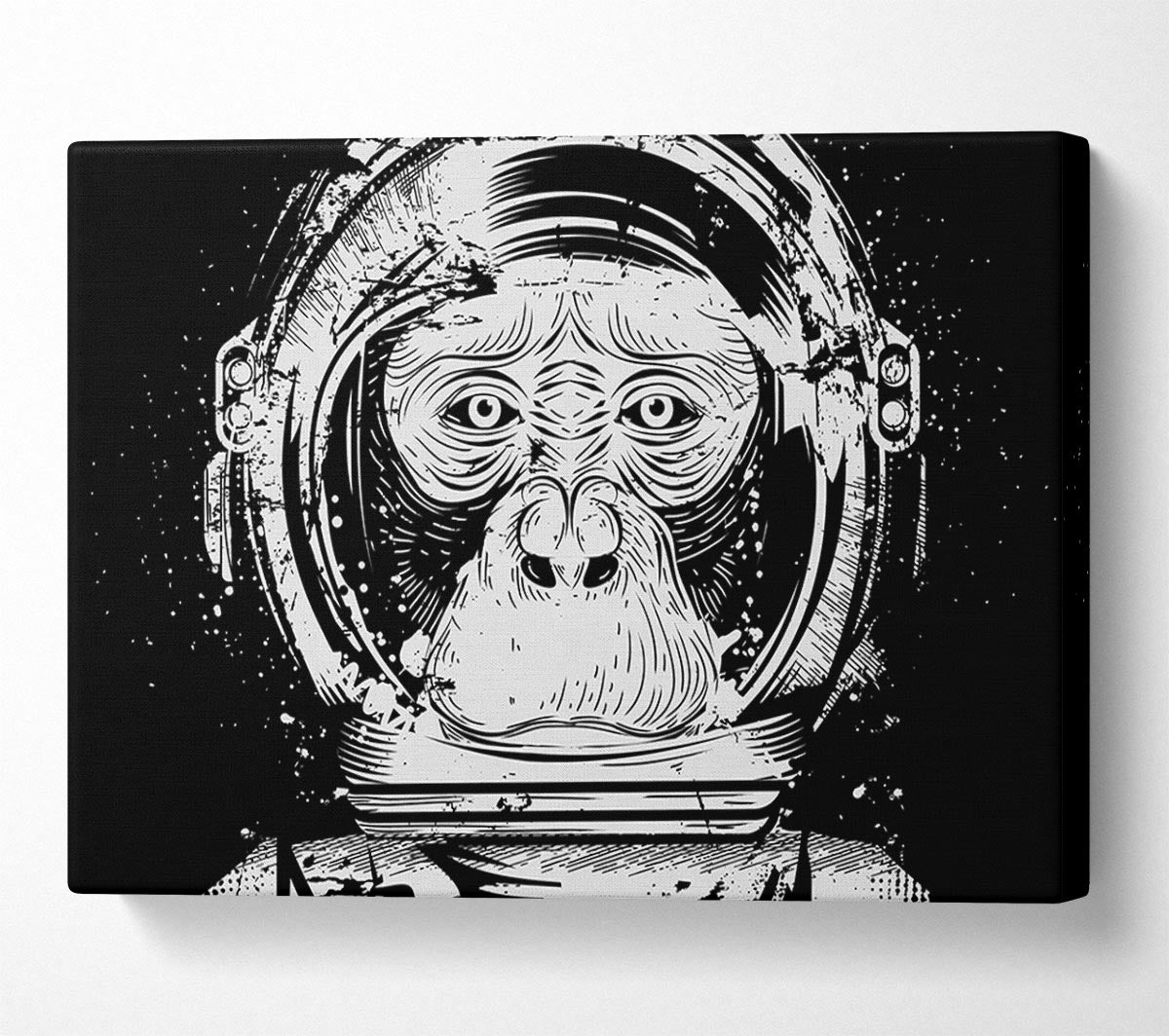 Space Monkey Canvas Wall Art