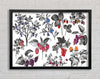 Collage Of Flowers And Berries Framed Wall Art