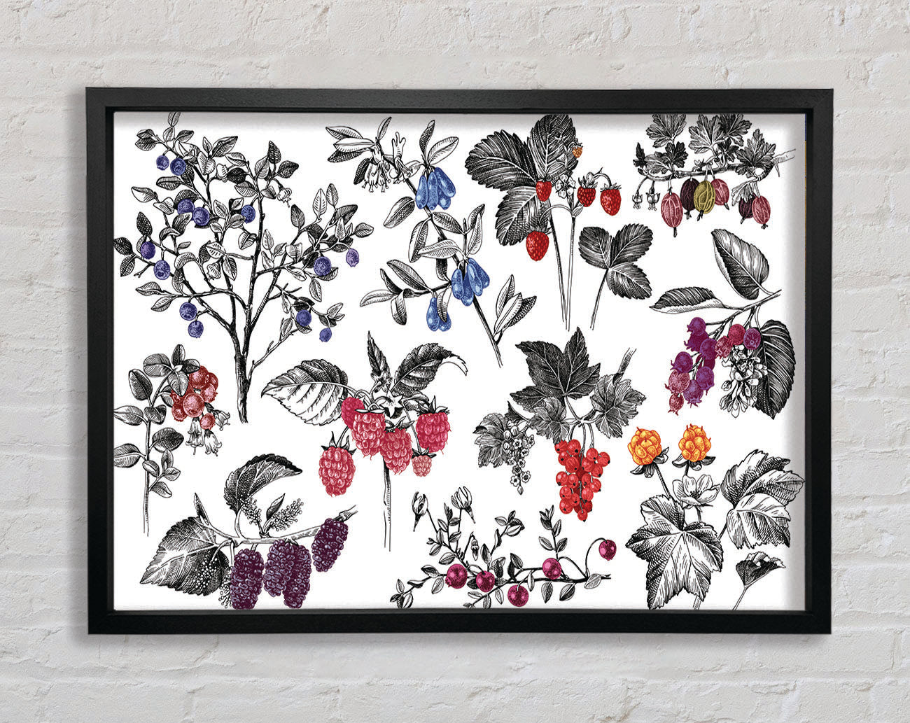Collage Of Flowers And Berries Framed Wall Art