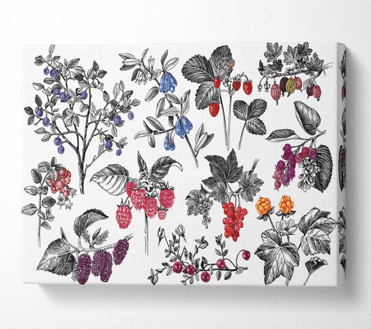 Collage Of Flowers And Berries Canvas Wall Art