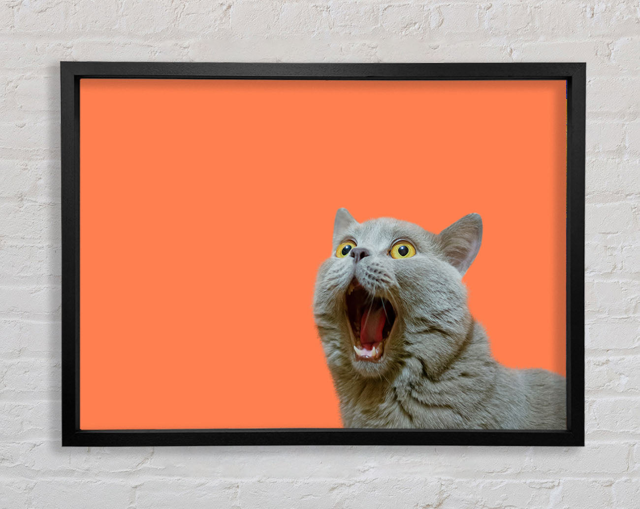 Cat On The Orange Framed Wall Art