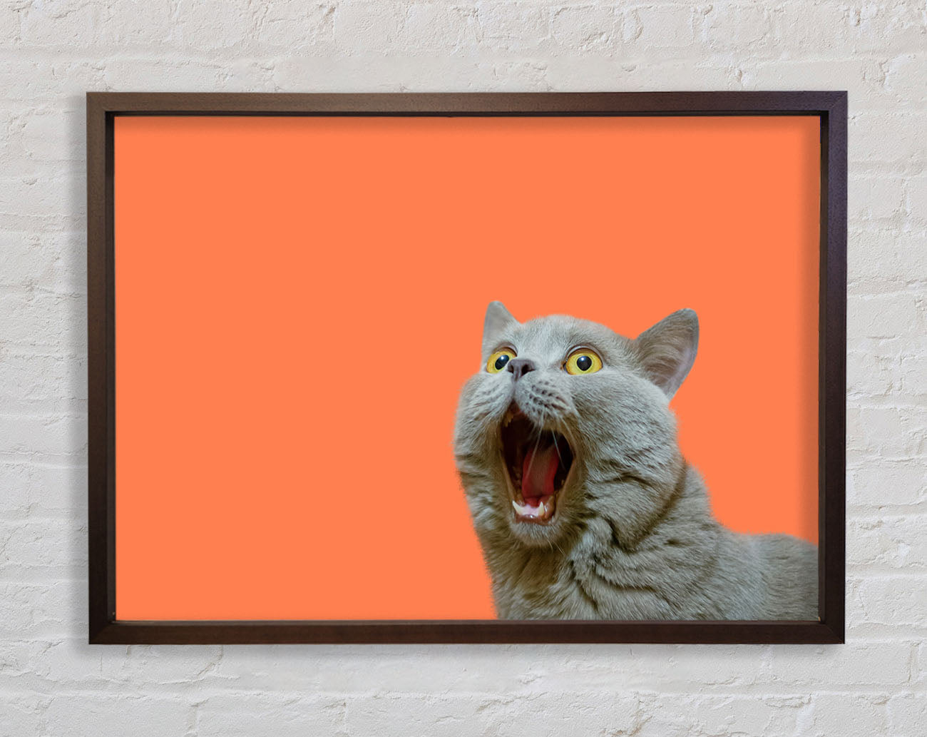 Cat On The Orange Framed Wall Art