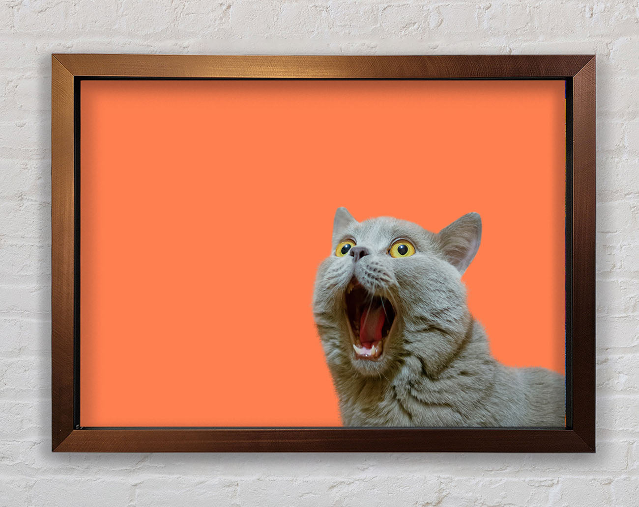 Cat On The Orange Framed Wall Art