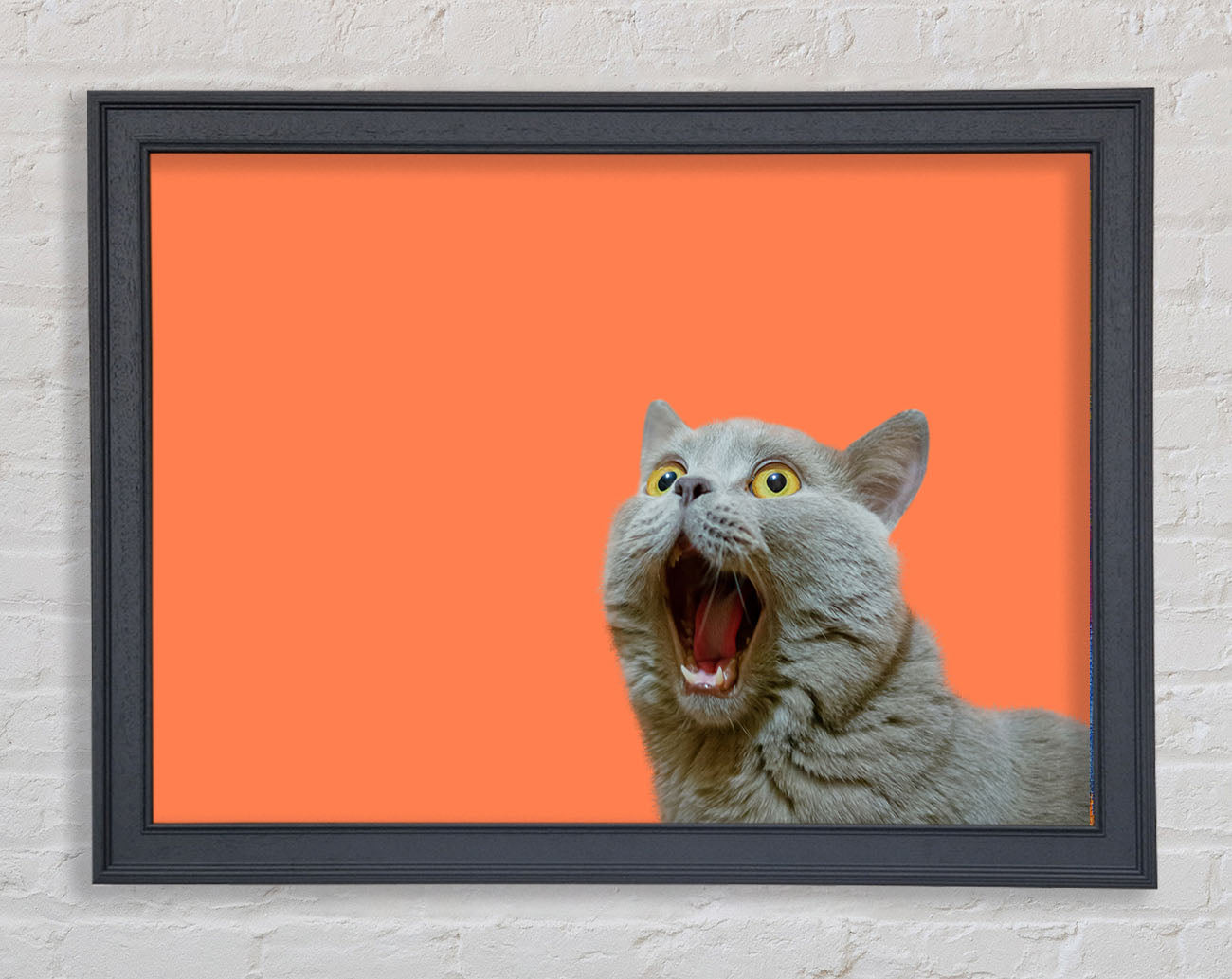 Cat On The Orange Framed Wall Art