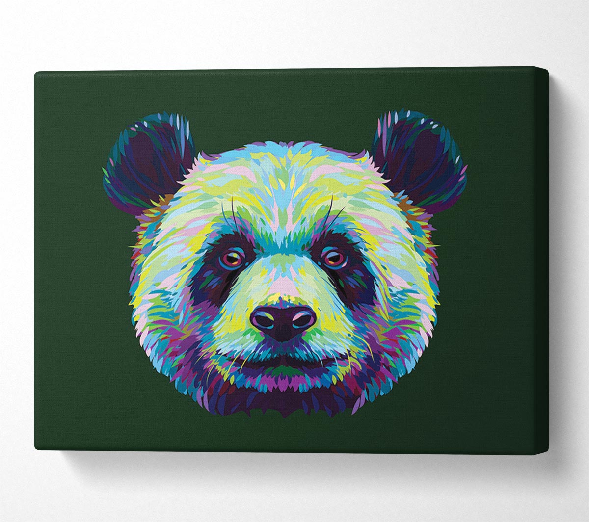 The Panda Head Canvas Wall Art