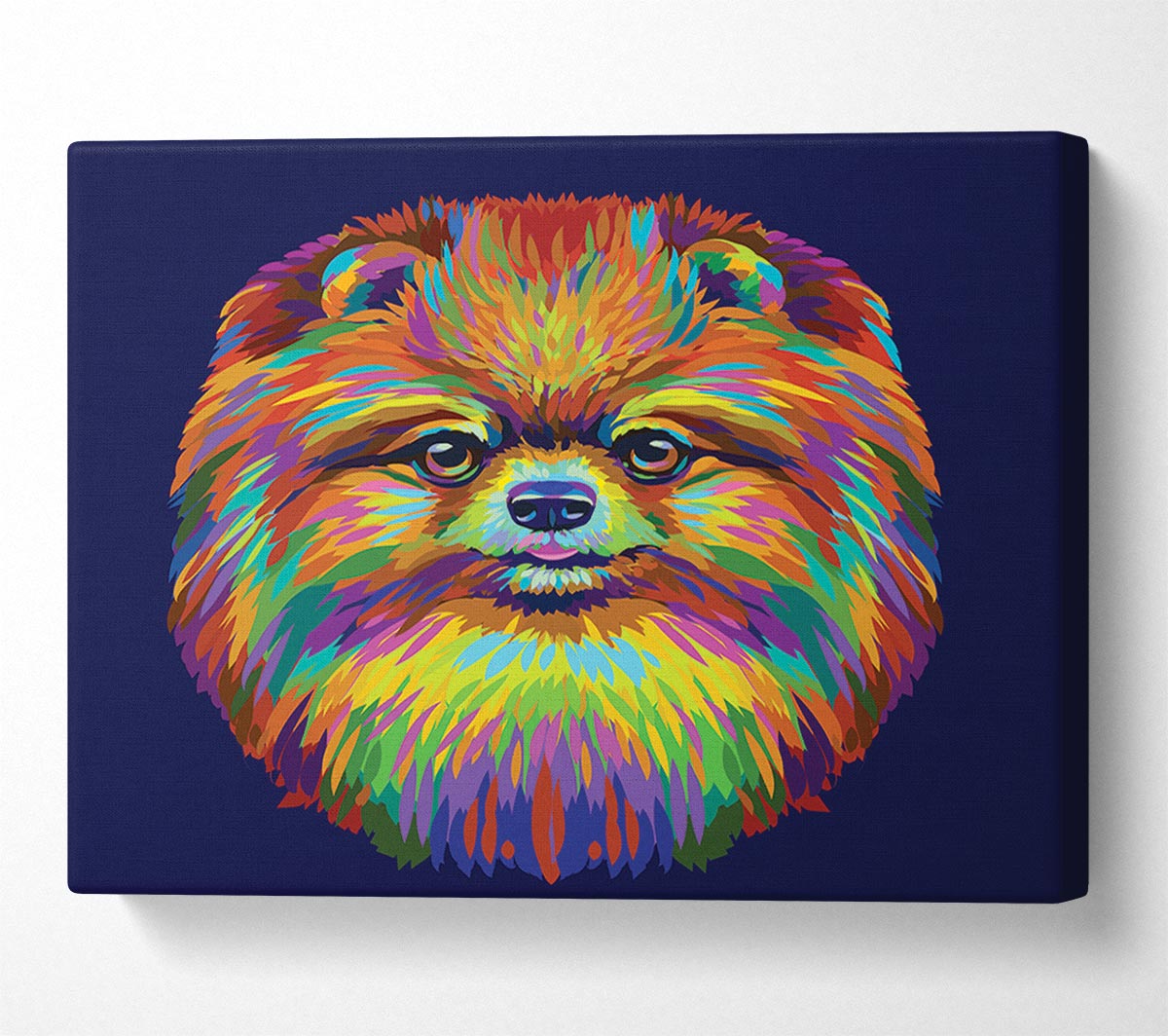 Big Fluffy Pomeranian Canvas Wall Art