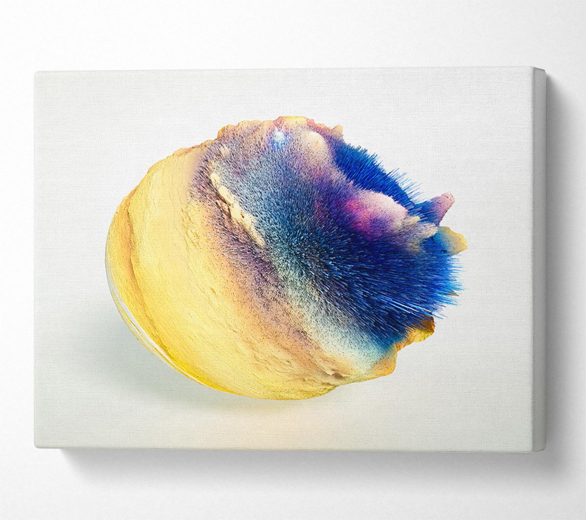 Magnesium Reaction Canvas Wall Art