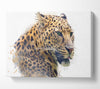 Watercolor Splash Leopard Canvas Wall Art