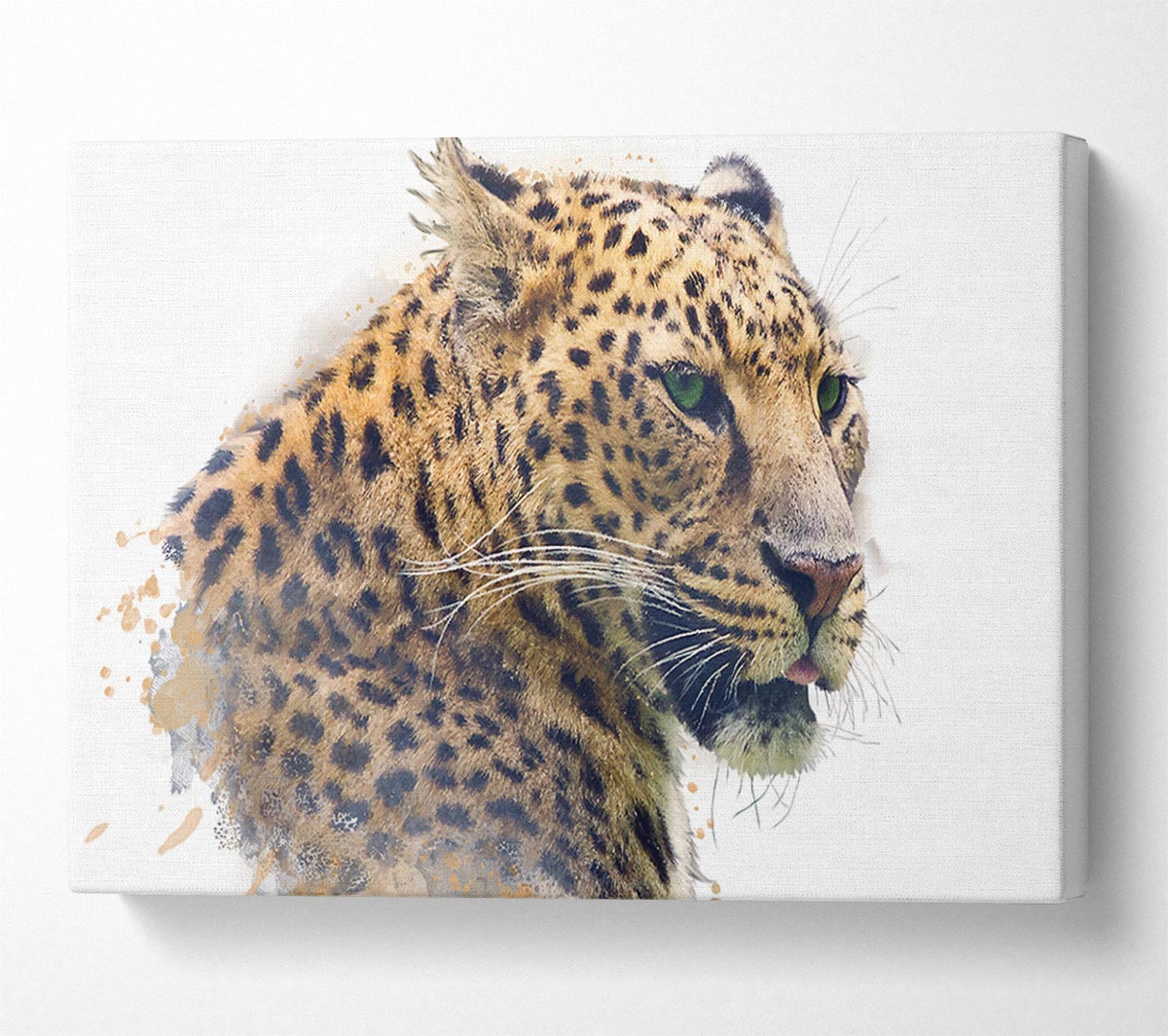 Watercolor Splash Leopard Canvas Wall Art