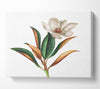 British Flower Illustration Canvas Wall Art