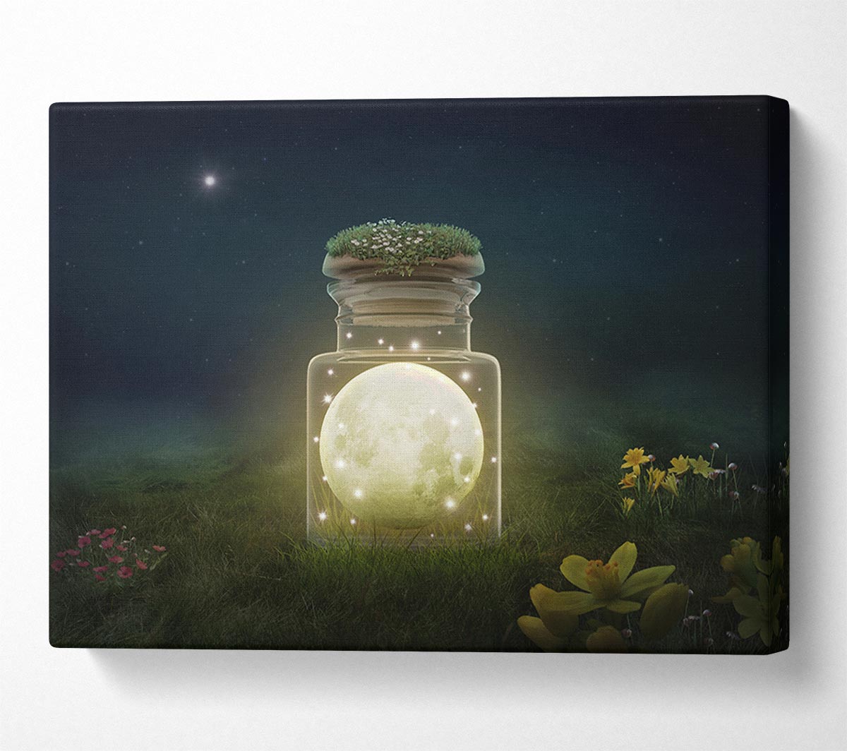 Moon In A Jar Canvas Wall Art