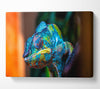 Chameleon Up Close Canvas Wall Art