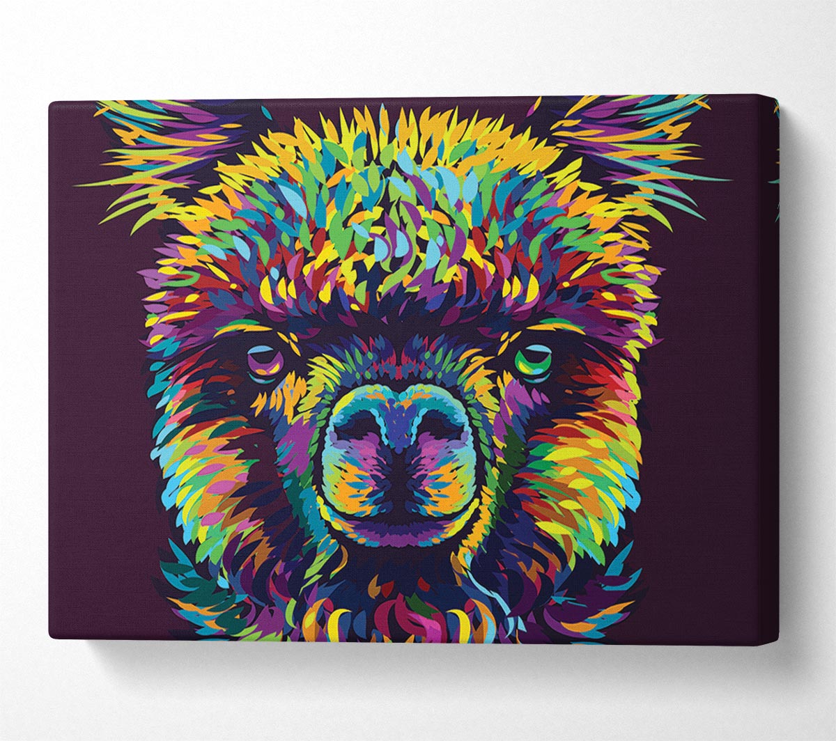 Alpaca In Colour Canvas Wall Art