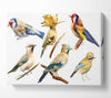 Birds Of Beauty 2 Canvas Wall Art