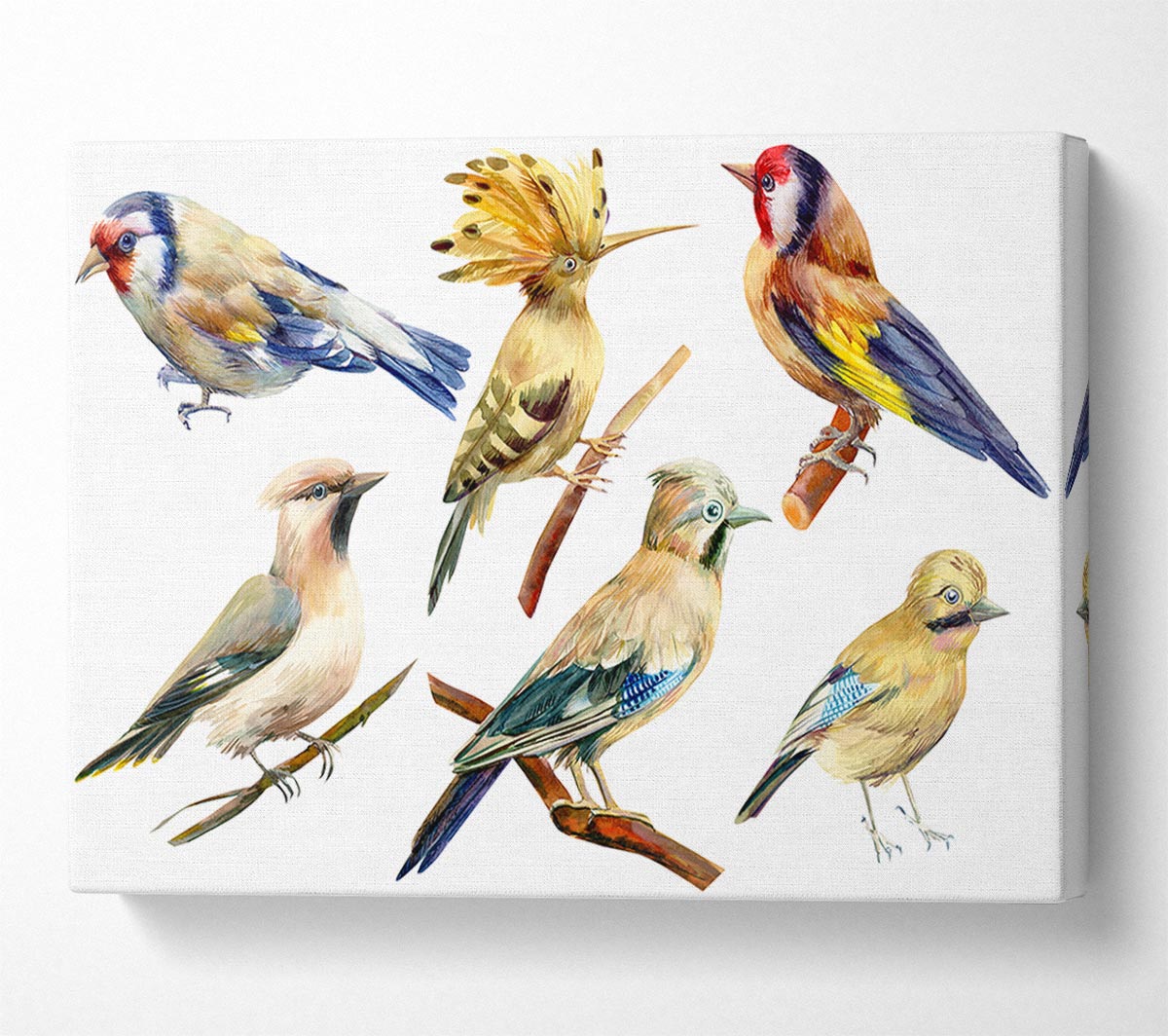 Birds Of Beauty 2 Canvas Wall Art