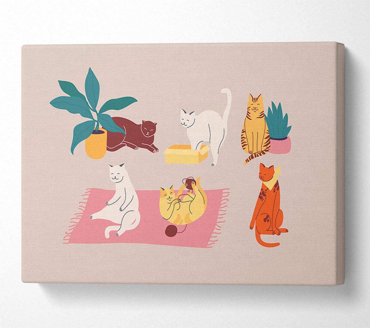 Peaceful Cat Home Canvas Wall Art