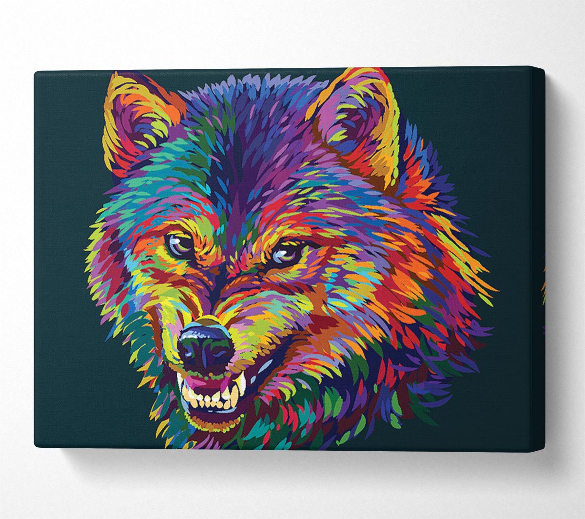 Growling Wolf Colour Canvas Wall Art