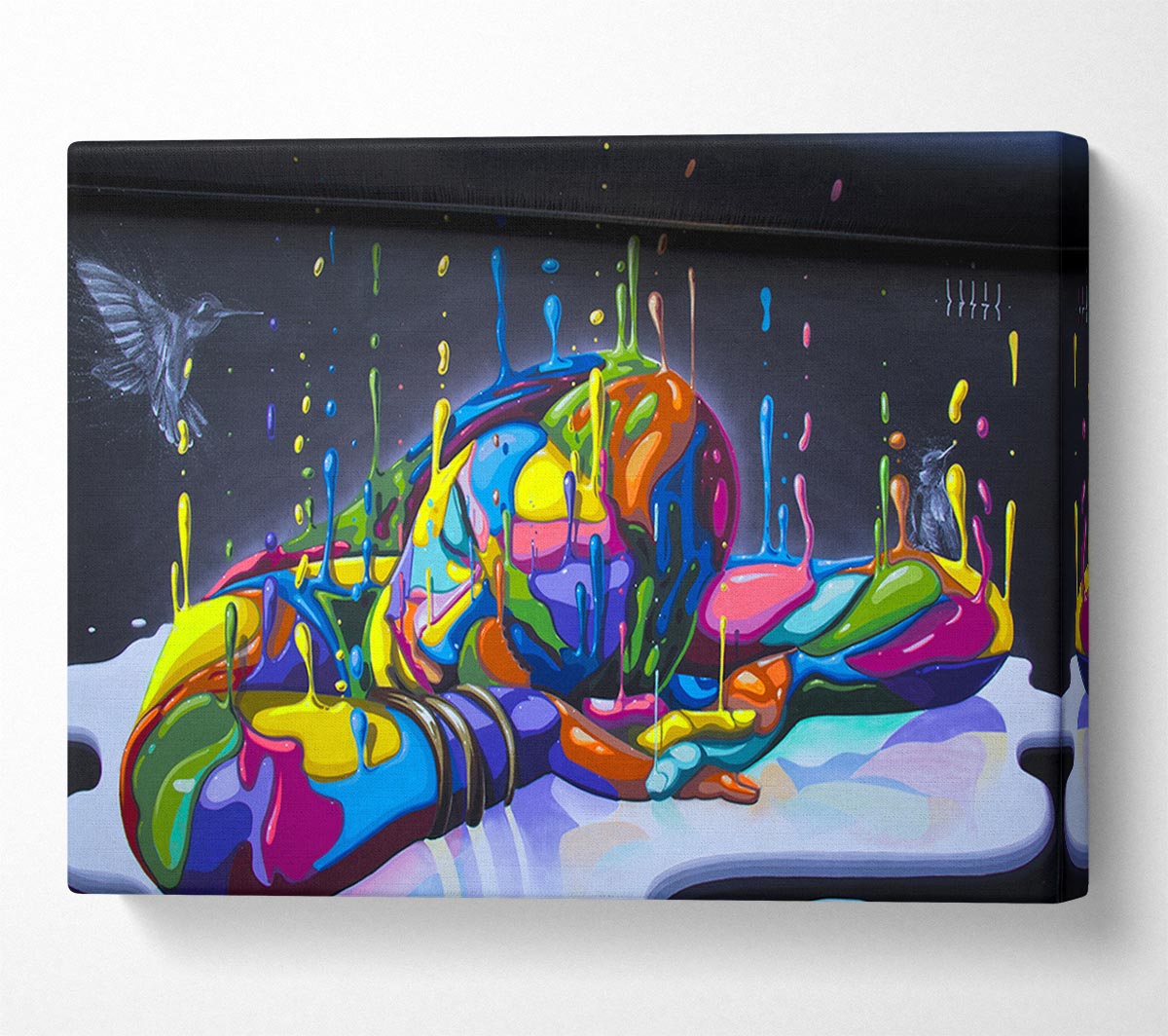 The Paint Slumber Canvas Wall Art