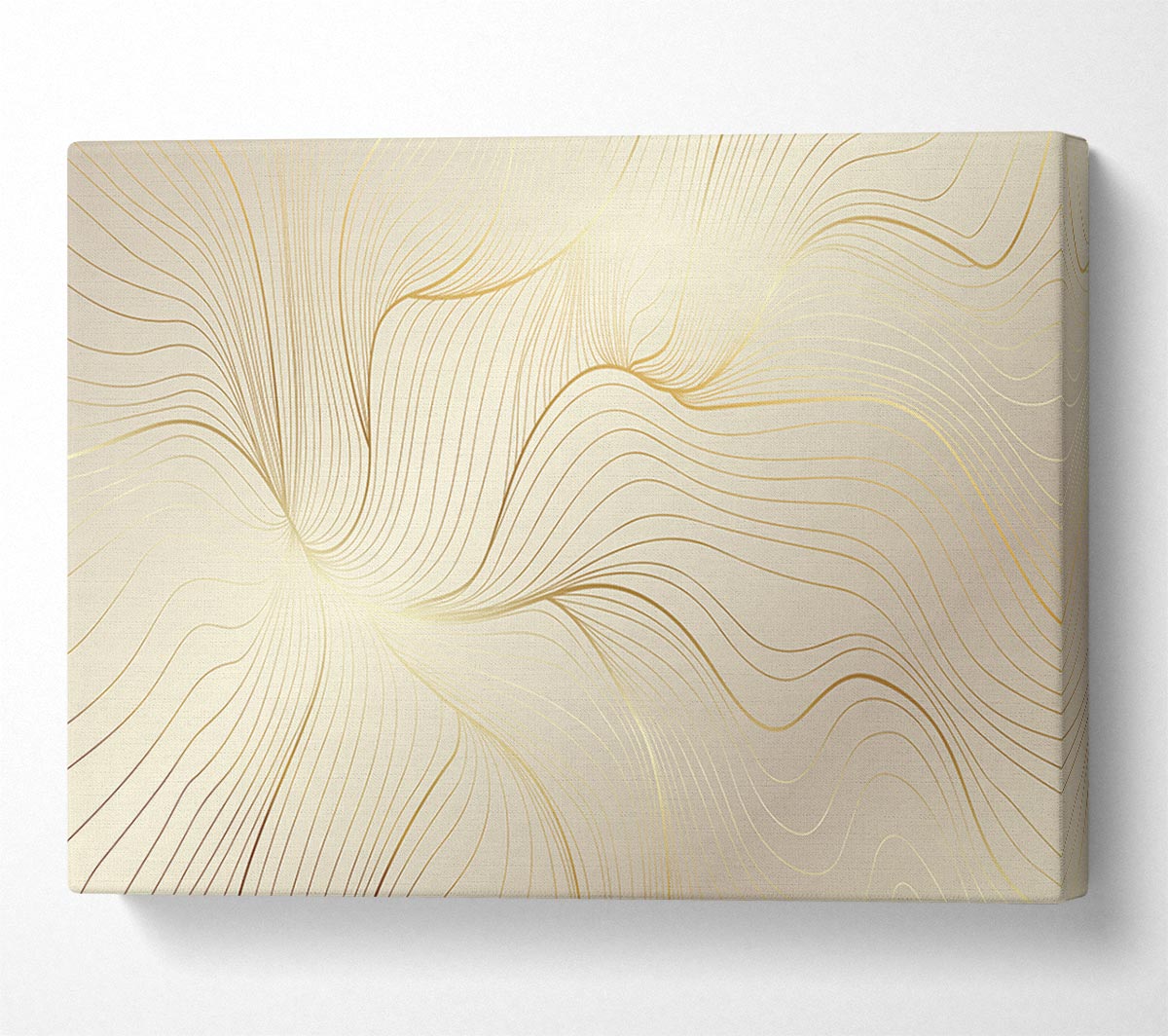 Gold Lines Of Power Canvas Wall Art