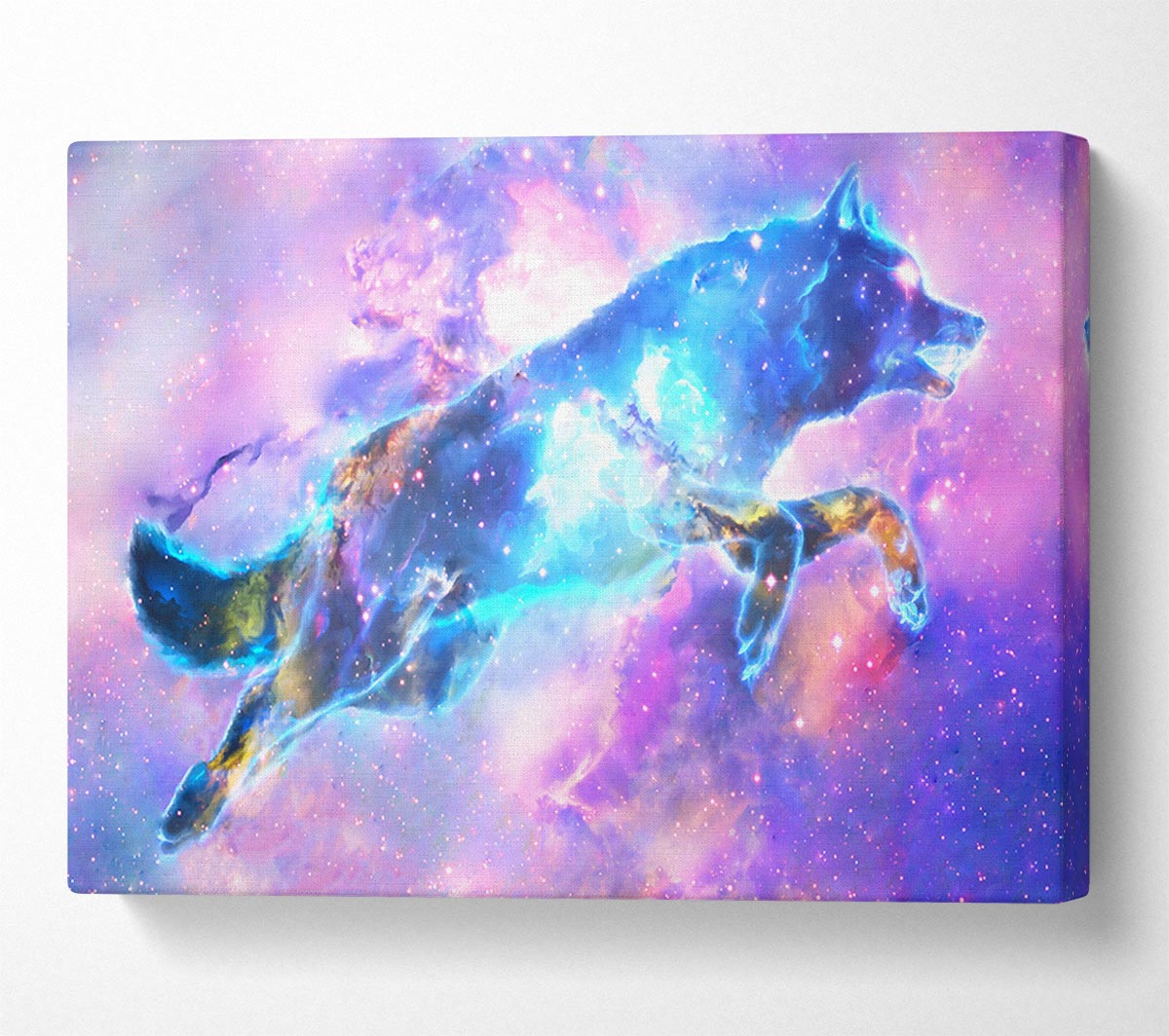 The Space Wolf Canvas Wall Art
