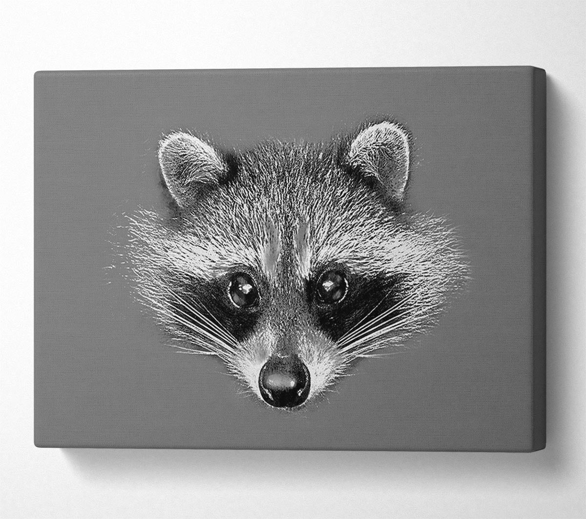 Raccoon On Grey Canvas Wall Art