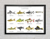 Catfish Chart Framed Wall Art