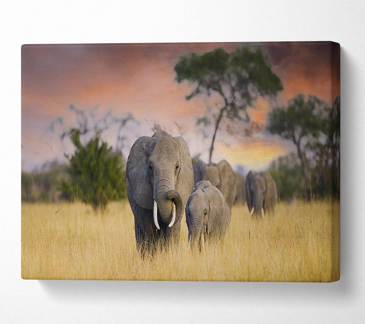 Elephants In Savannah Canvas Wall Art