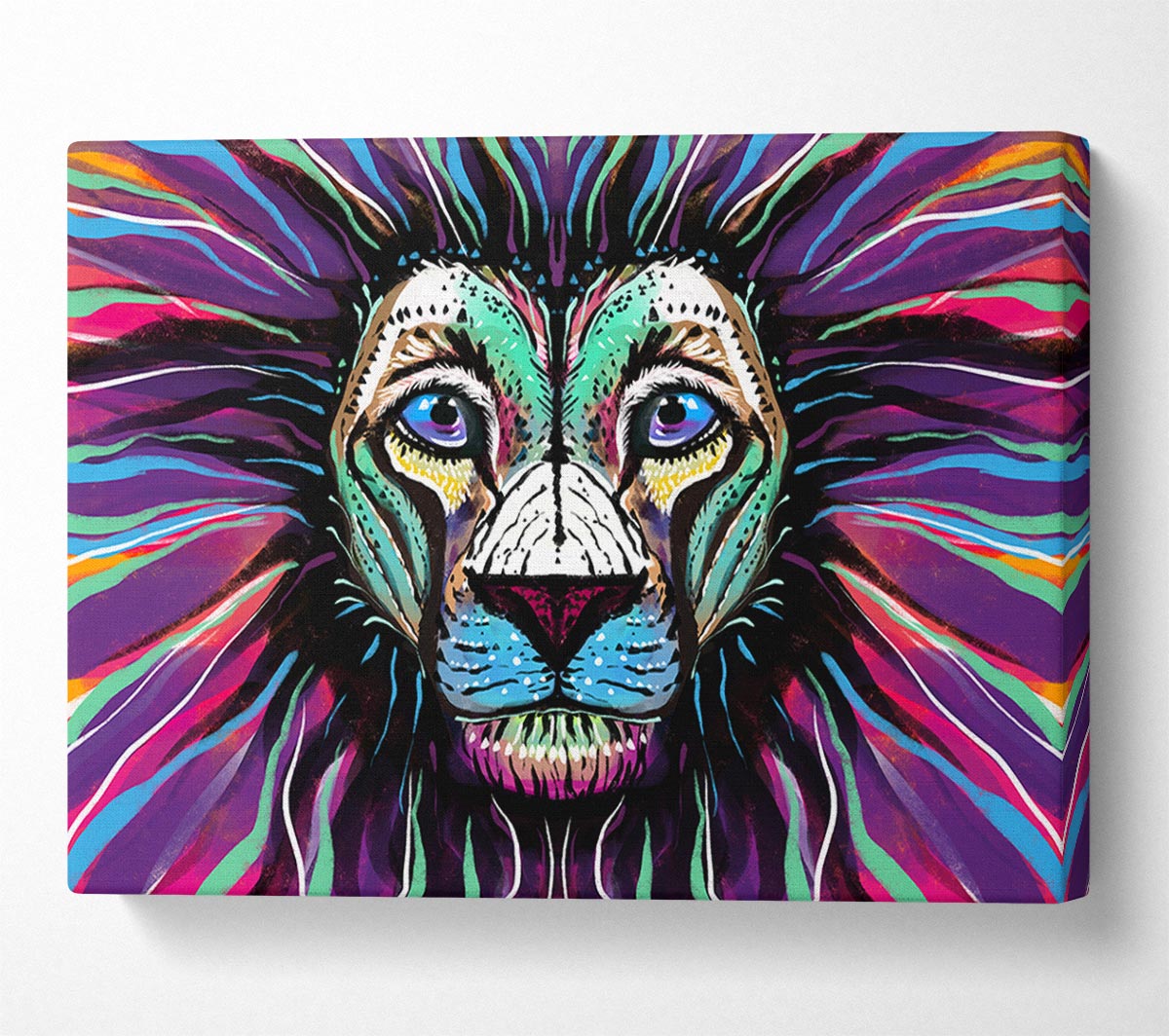 The Lion Rainbow Face Canvas Wall Art