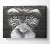 The Chimp Eyes Canvas Wall Art