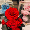 Round Valentine's Day Gift Acrylic Secret Garden Red Rose Everlasting Flower