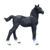Hanoverian Foal Black Realistic Equestrian Figurine