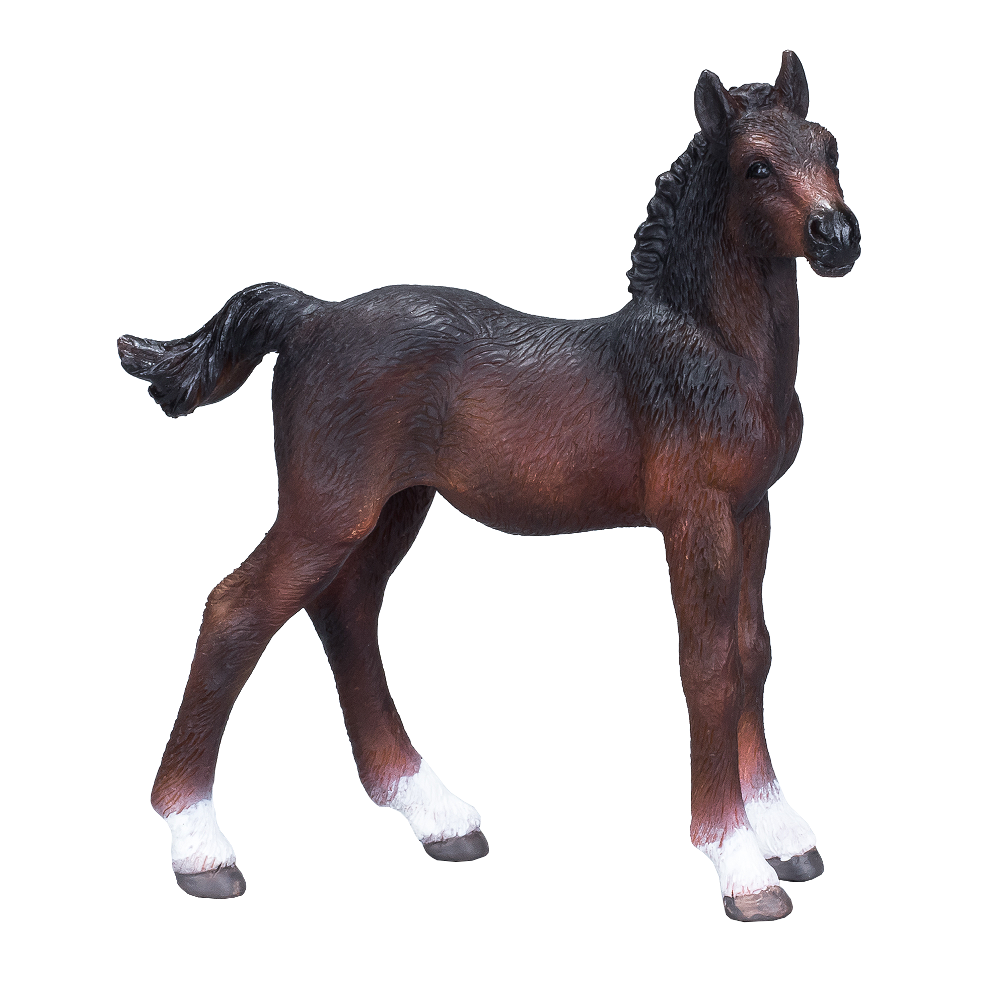 Hanoverian Foal Bay Toy Realistic Equestrian Figurine