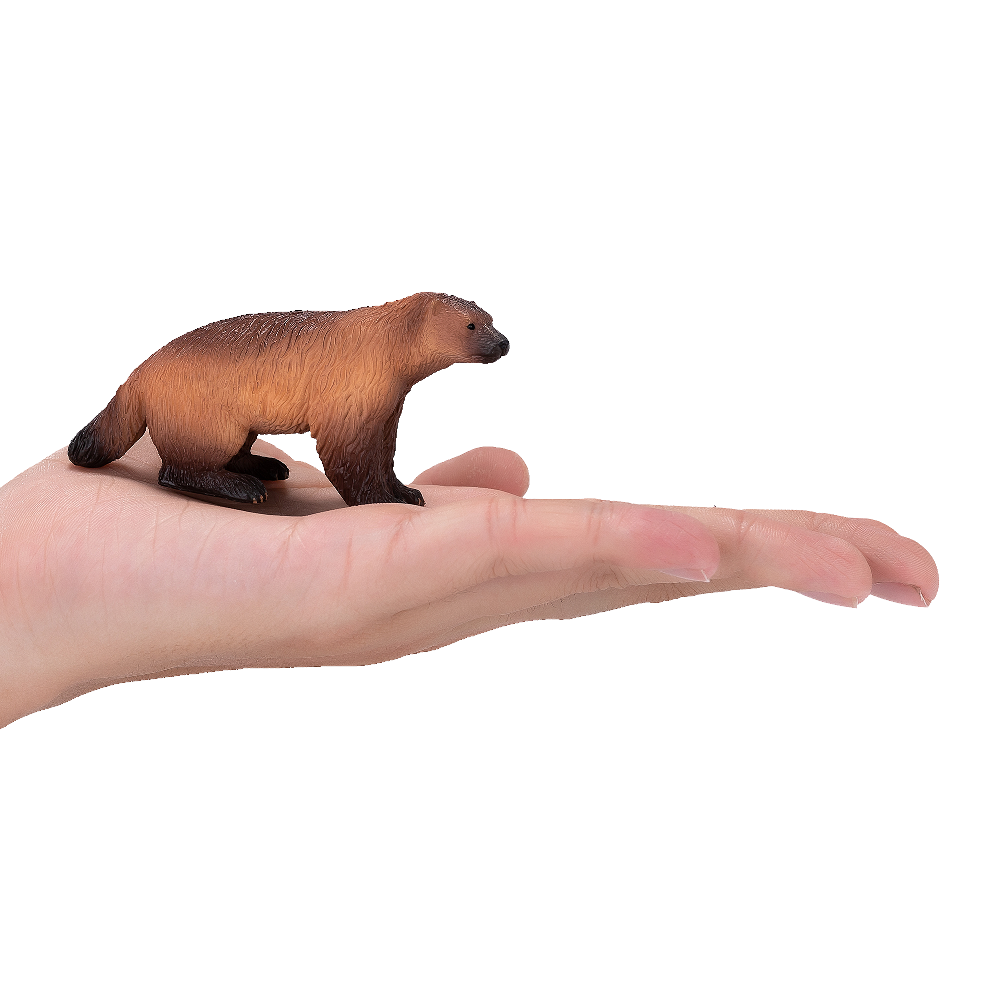 Wolverine Toy Realistic Wildlife Animal Figurine