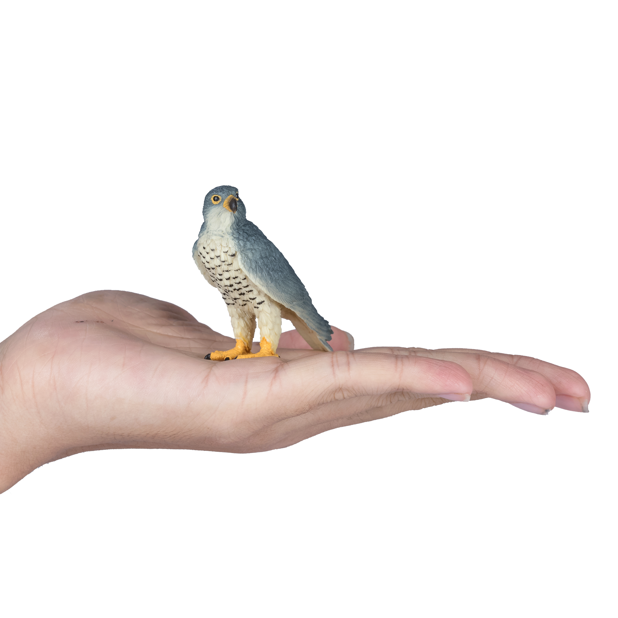 Peregrine Falcon Toy Realistic Bird of Prey Model
