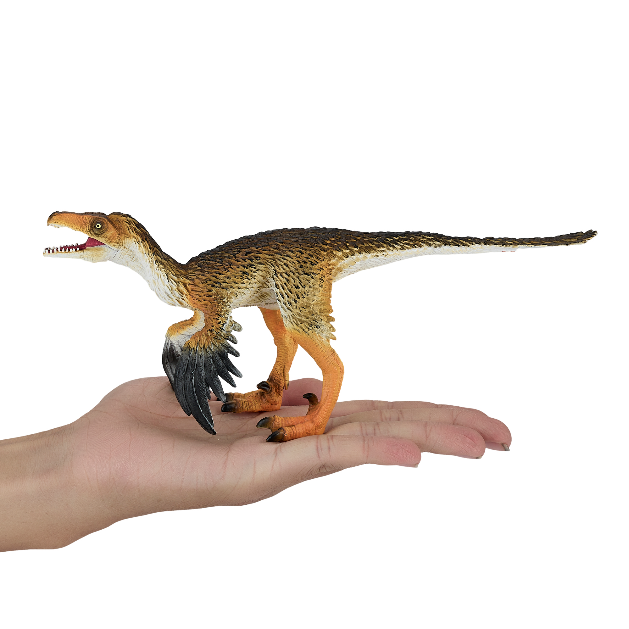 Troodon with Articulated Jaw Realistic Dinosaur Figure