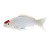 Koi Carp Tancho Toy Realistic Fish Figurine