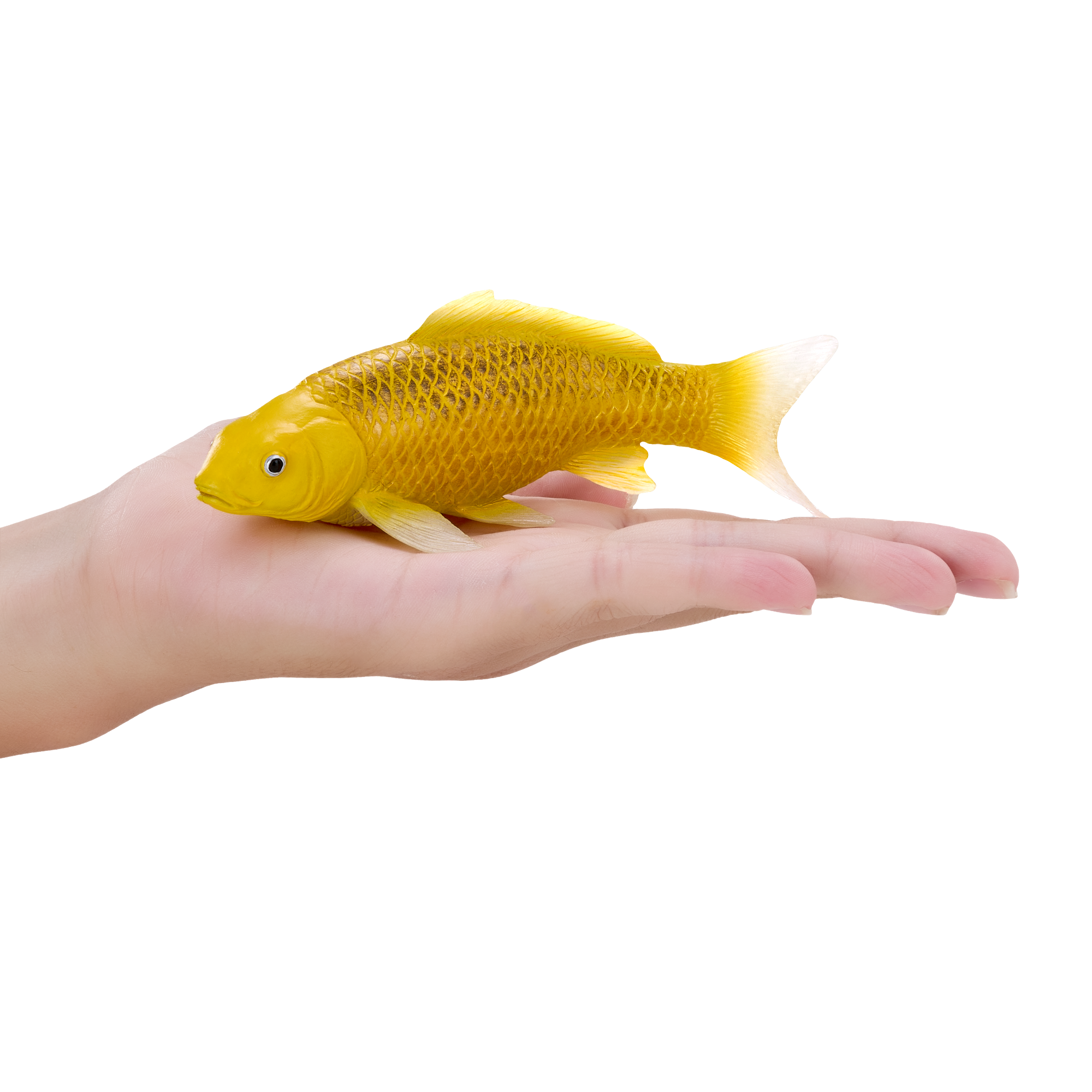 Koi Carp Kin Matsuba Realistic Fish Figurine
