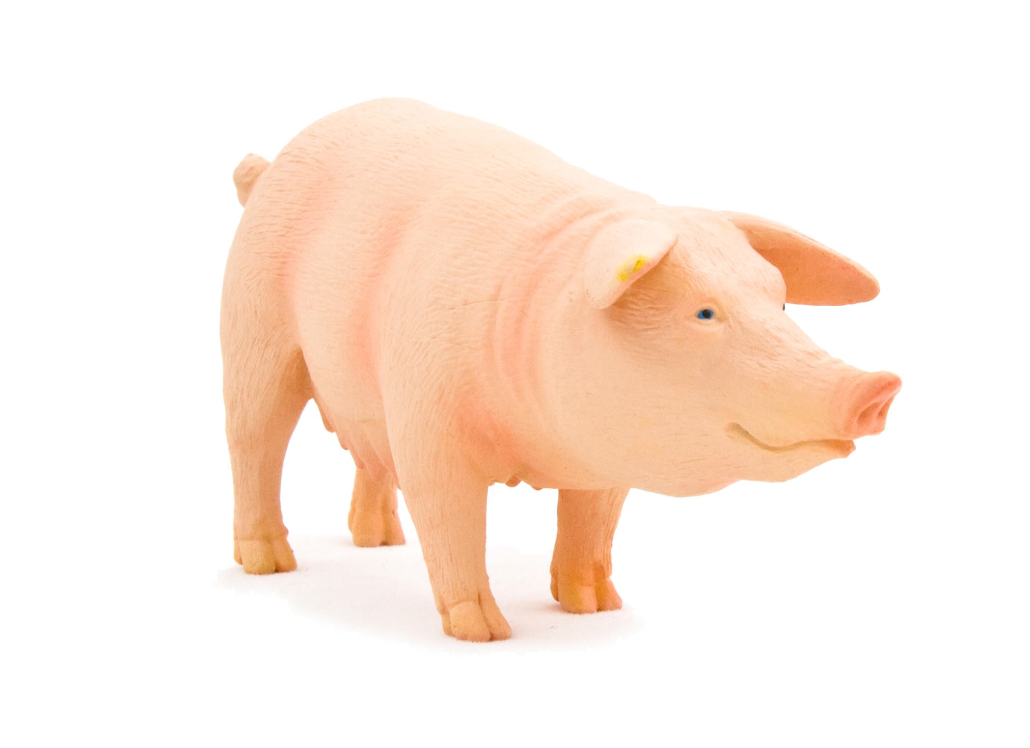 Pig (Sow) Toy Realistic Farm Animal Model