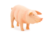 Pig (Sow) Toy Realistic Farm Animal Model