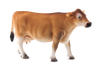 Jersey Cow Toy Realistic Farm Animal Figurine