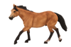 Quarter Horse Buckskin Toy Realistic Equestrian Figure